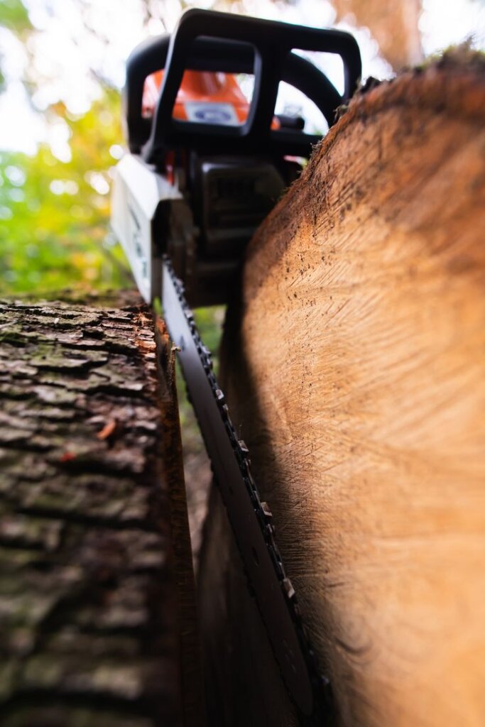 how-do-we-restrict-our-tree-needs