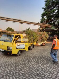 why-tree-maintenance-matters