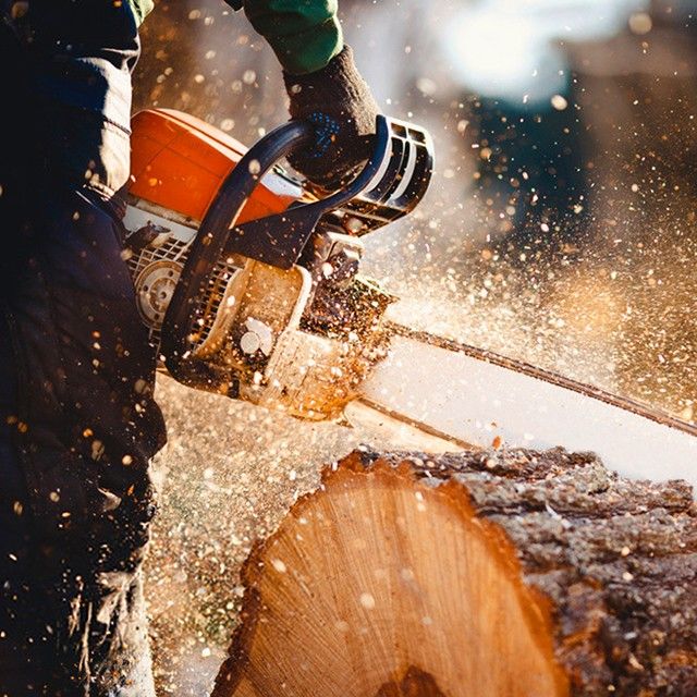 stump-removal-improves-value-of-property
