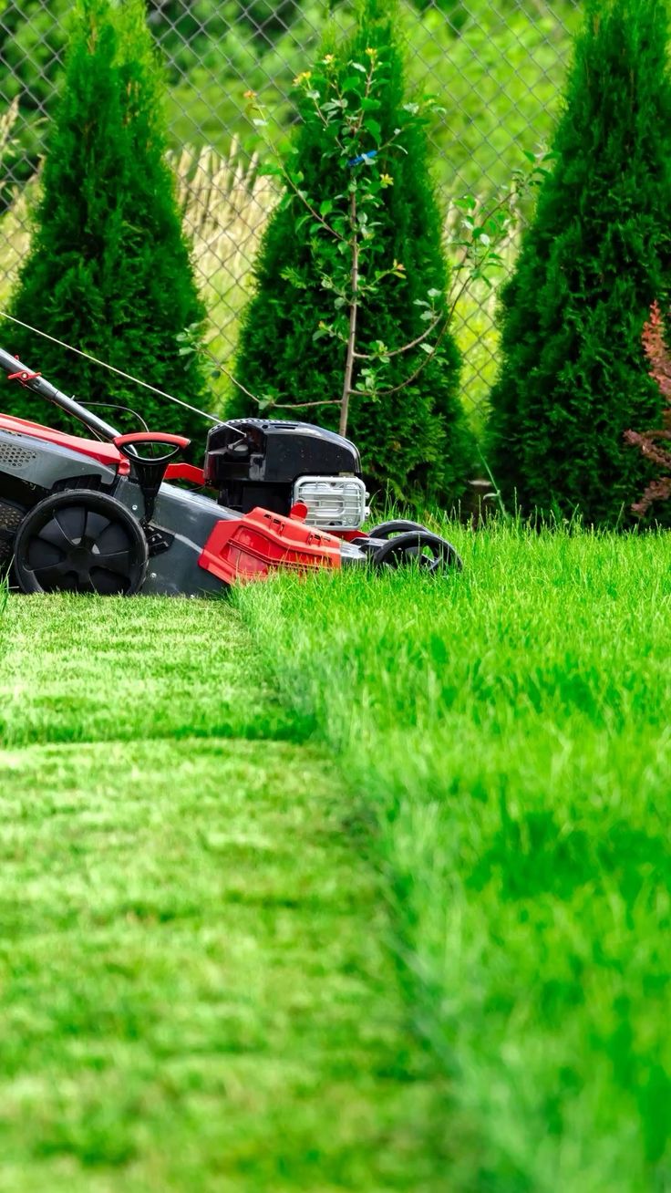 bush-cutting