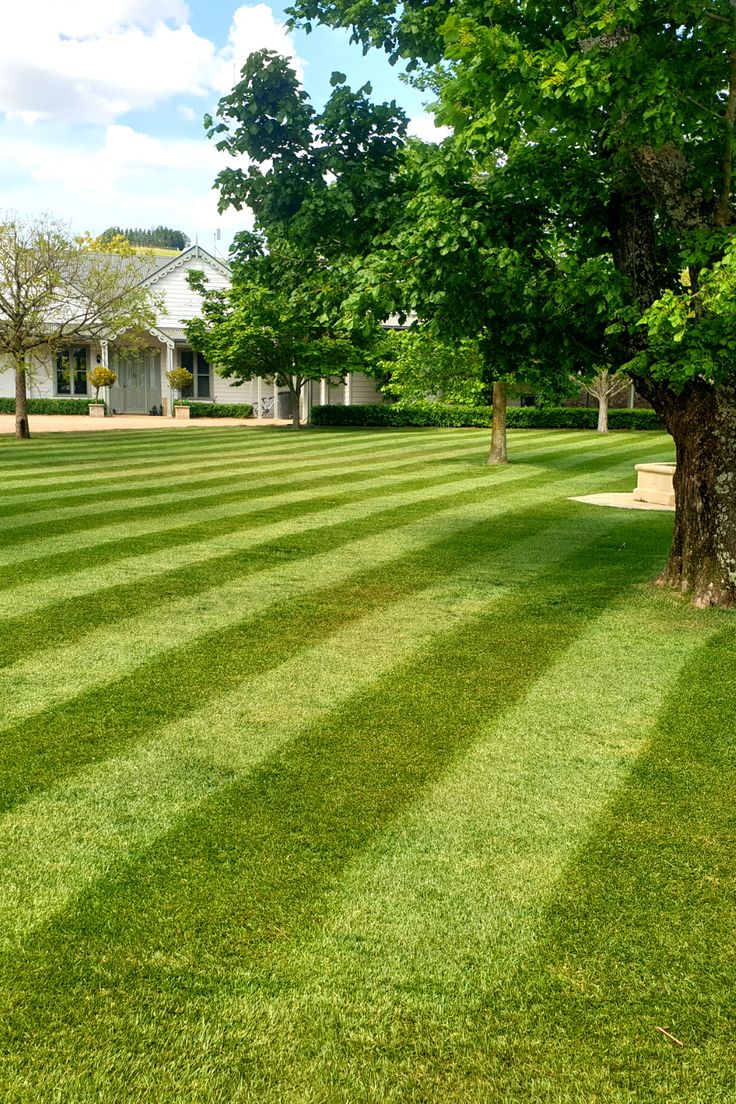 10 -Amazing- Benefits- of- Planting Trees -in -Your -Yard