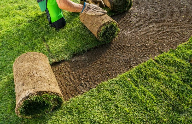 lawn-maintenance