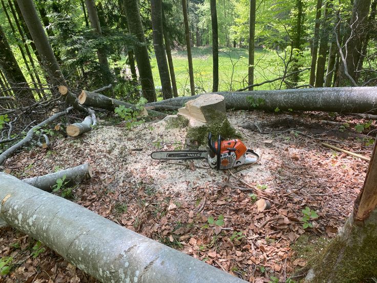 stump-removal