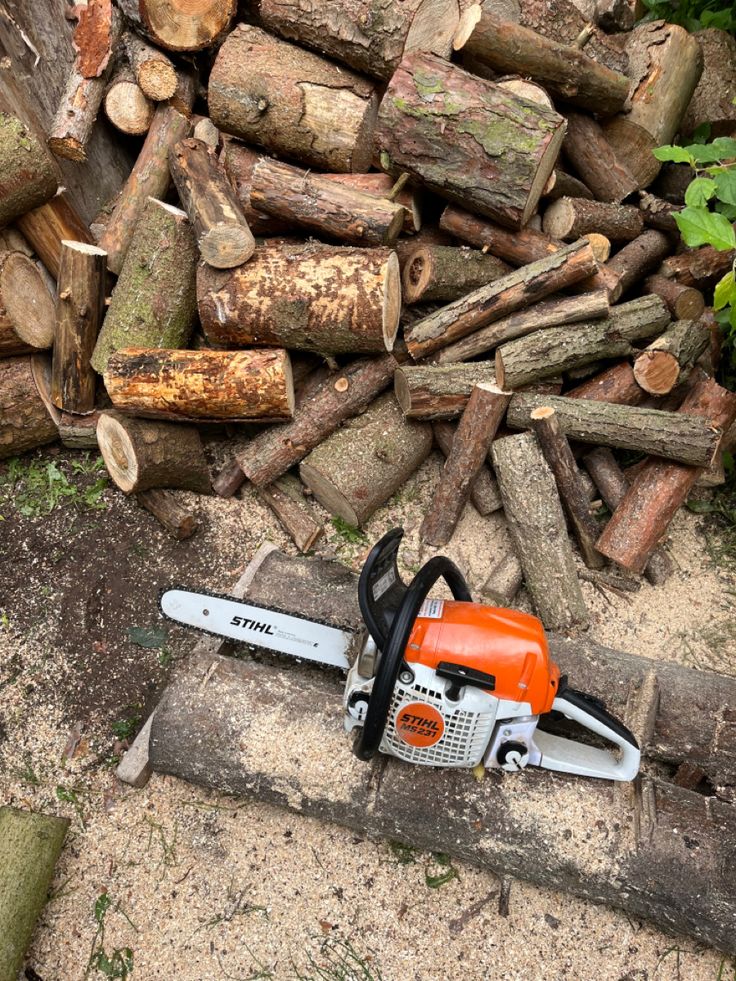 eco-friendly-tree-waste-disposal