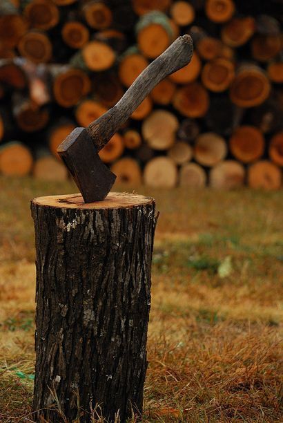 firewood