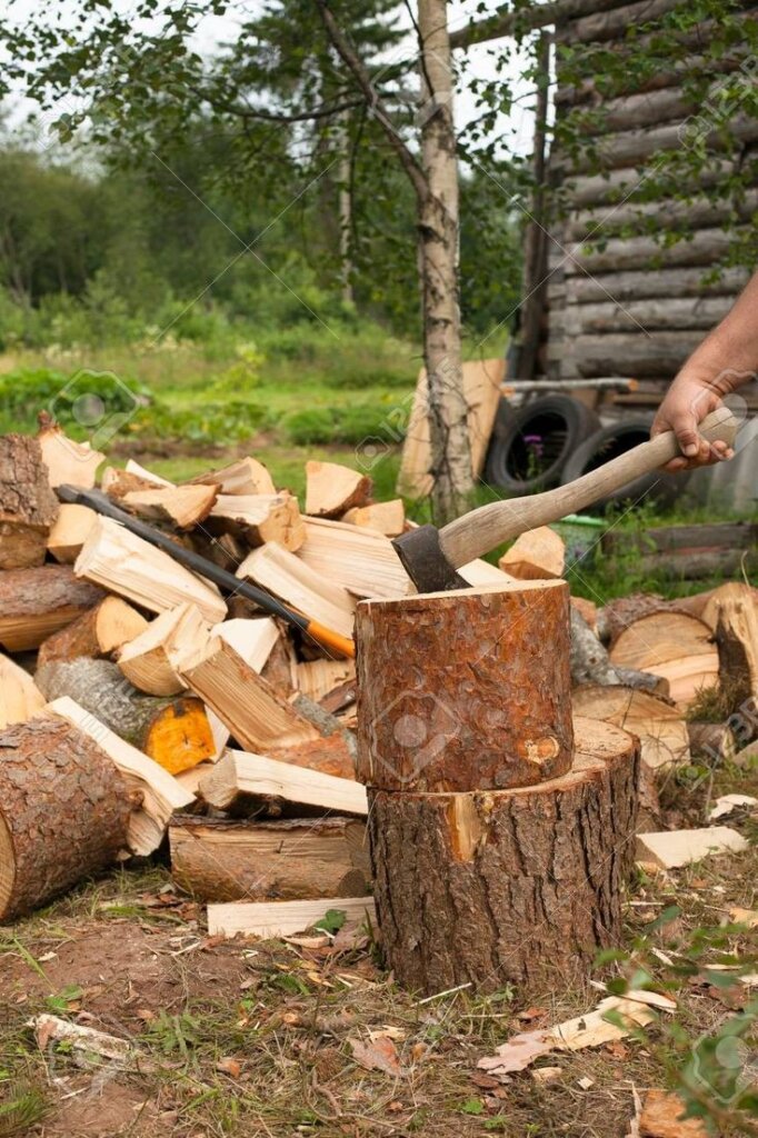 stump-grinding