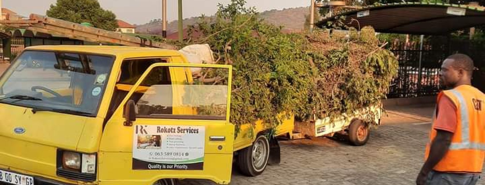 why-tree-maintenance-matters